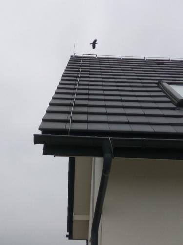 26034856_2072001466356755_1641357150_n